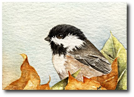 watercolour chickadee painting