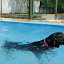Praticamente campeã olímpica..hehehe