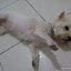 Laila fazendo gracinha...rs