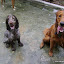 Imagem 004.jpg
