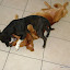 DSC00355.JPG