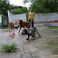 DSC09905.JPG