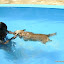 DSC00546.JPG