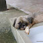 DSC00081.JPG