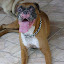 Cópia de DSC00732.JPG
