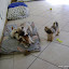 DSC06529.JPG