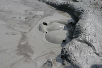IMG_4720.JPG