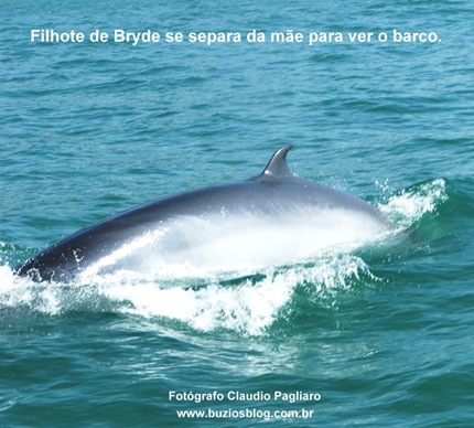 DSCF9344 DSCF9344