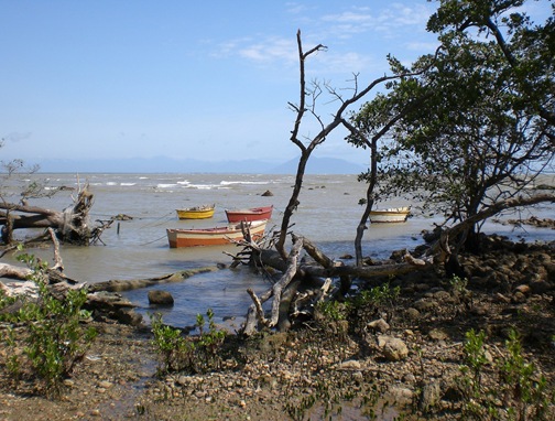 Praia da Gorda (Mangue de Pedra) Praia da Gorda (Mangue de Pedra)