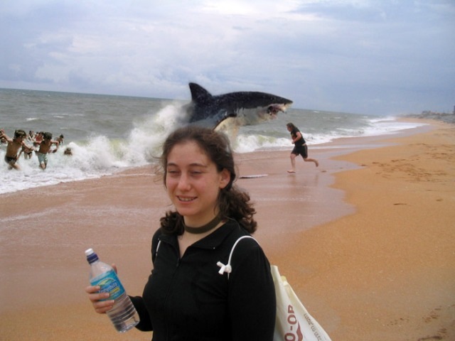 shark attacking near beach