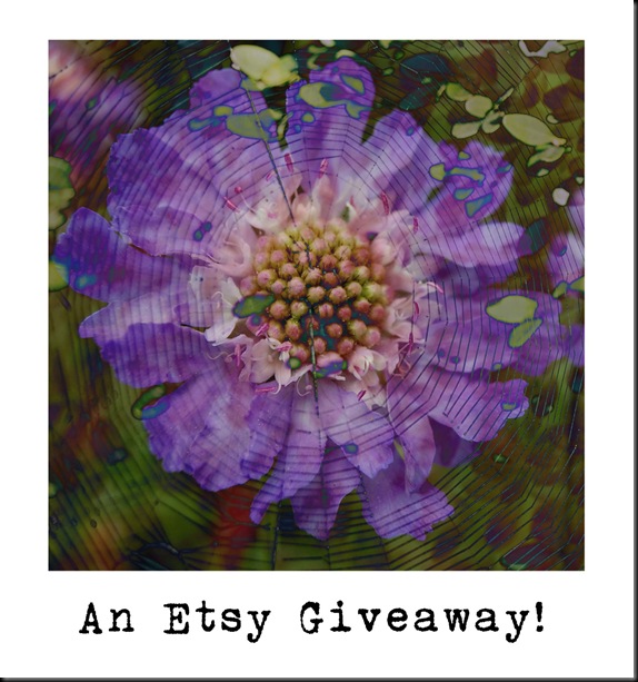 BLOG Giveaway BLOG Giveaway