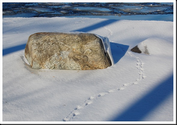 rock and footprints