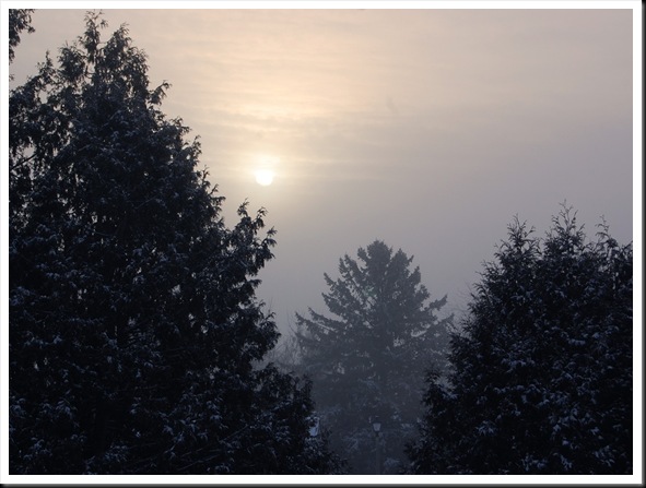 white morning