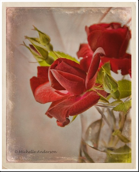 RED RED ROSE