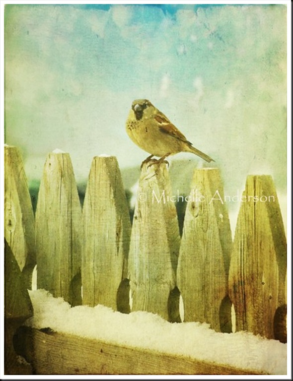 POETRY OF WINTER