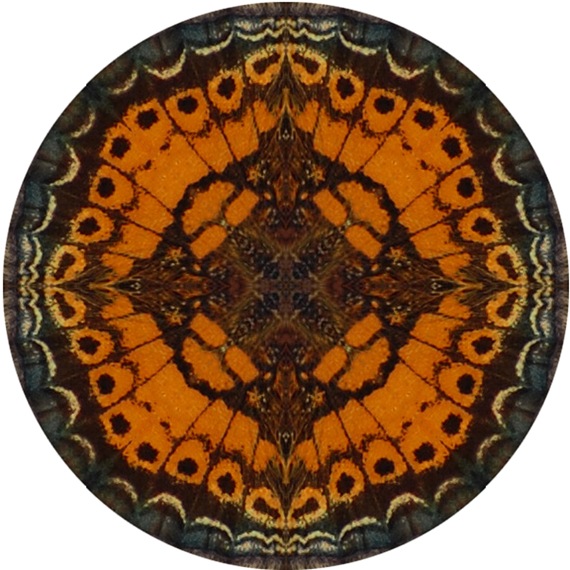 [CRESCENT WING MANDALA[2].jpg]