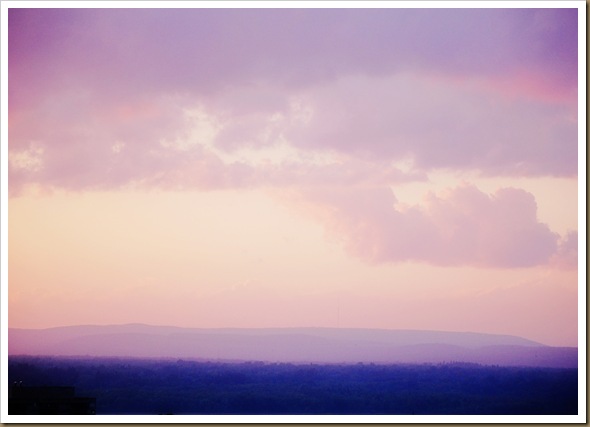 sunset lilac