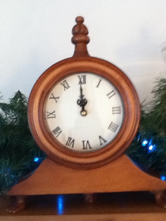 [Christmas 2010 057[12].jpg]