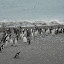 DSC01989.JPG