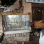 DSC06099.JPG