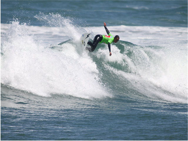 [Maria Abecasis ISA 2010[4].png]