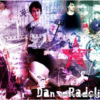 danrad collage.jpg