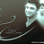 hp-daniel9.jpg