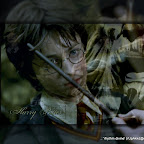 hp-harry1.jpg