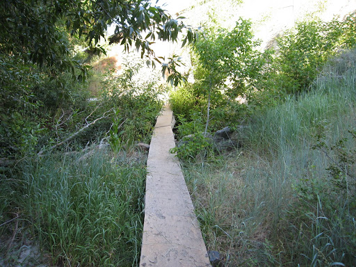 We need pictures of this section of trail. Email them to bonnevilleshorelinetrail@gmail.com.