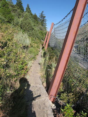 We need pictures of this section of trail. Email them to bonnevilleshorelinetrail@gmail.com.