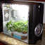 PC Velho-5.jpg