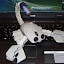 PC Velho-41.jpg