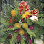 carvedfruits15.jpg