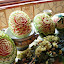 carvedfruits13.jpg