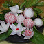 carvedfruits18.jpg