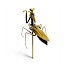 Mantis108.jpg