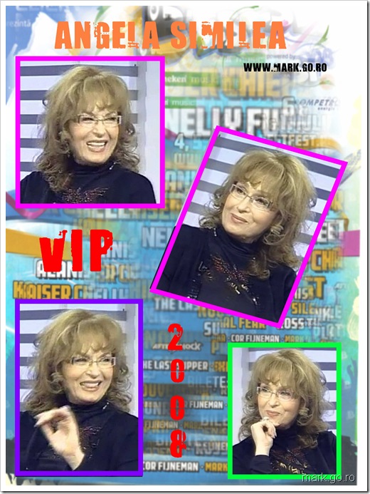 VIP 2008