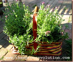 lavenderbasket lavenderbasket