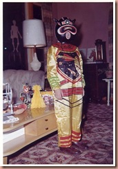 storeboughtcostume storeboughtcostume