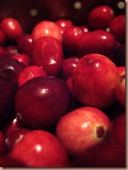 cranberries2