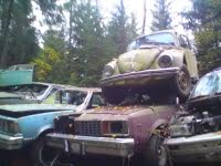 [DSC01462[2].jpg]