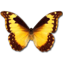 [butterfly (15)[3].png]