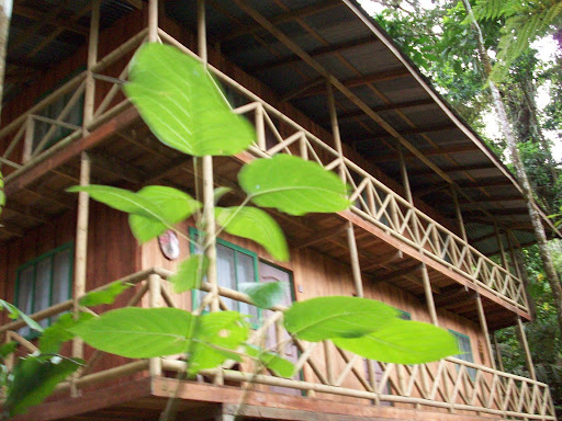 Rios Tropicals Lodge Costa Rica Vacation