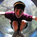 Field Trips