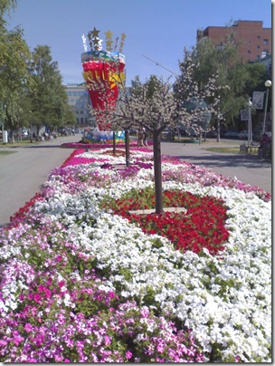 Тюмень, цветы, август 2010 Тюмень, цветы, август 2010
