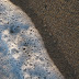 IMG_0005-5.JPG