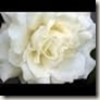 clip_image001