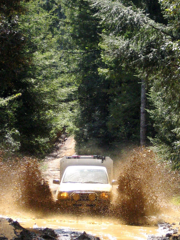 IMG_1236.JPG