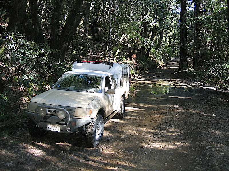 IMG_2895.JPG