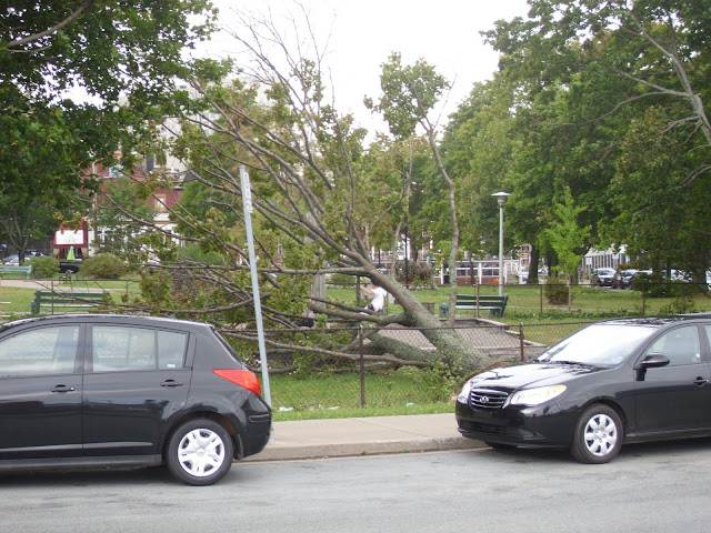 Hurricane Earl vs. Halifax